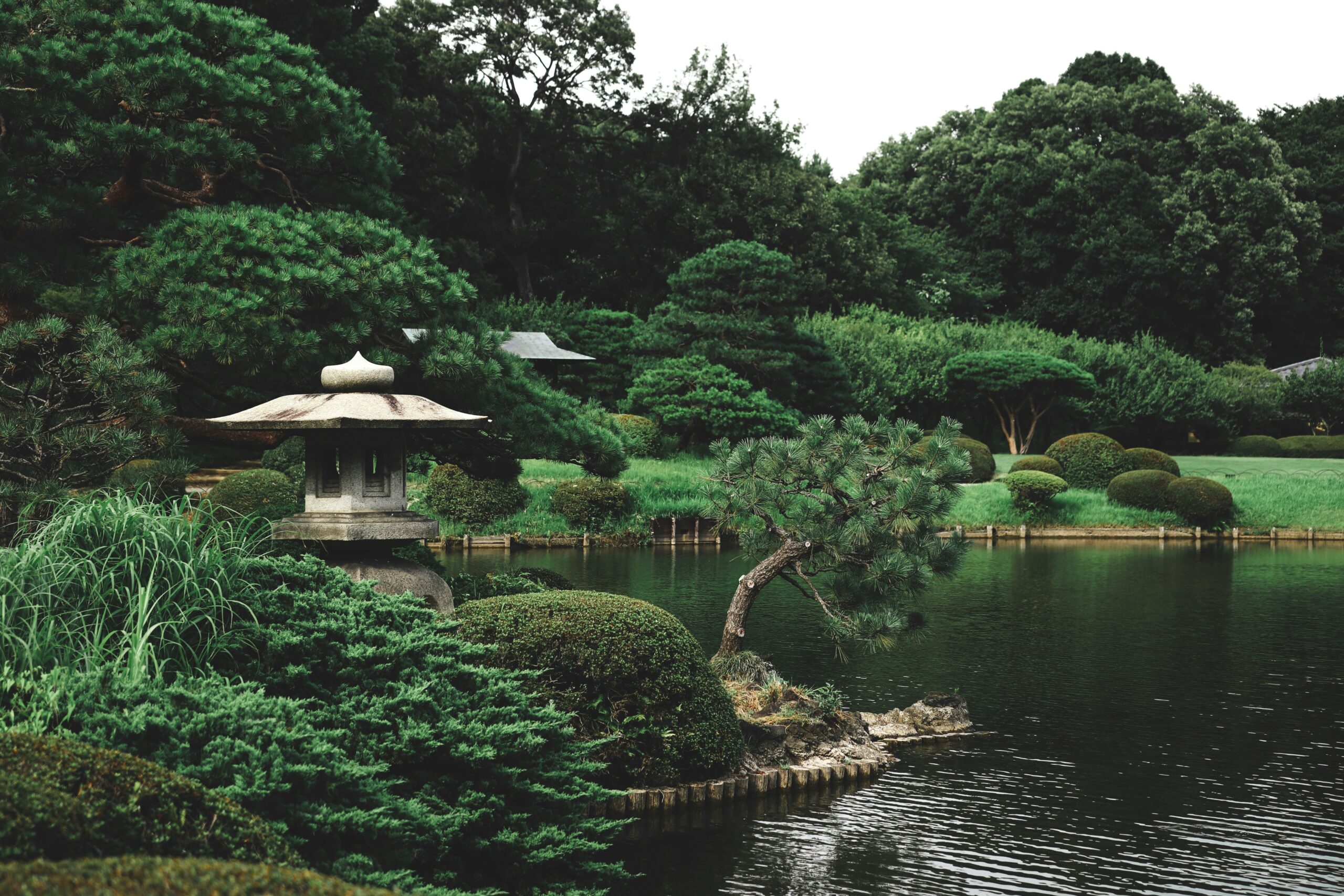 The Remarkable History of Japanese Garden Design
